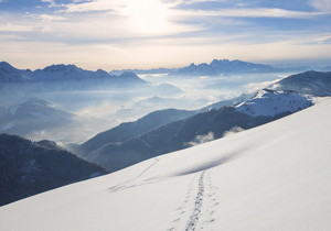 a 标签 打开新窗口